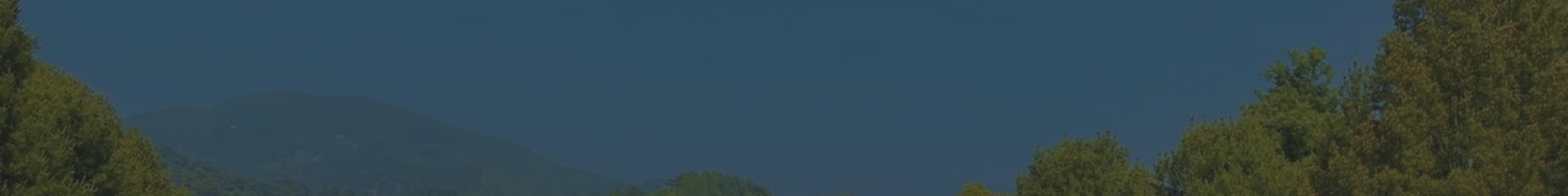 上海清竹园顶部背景图
